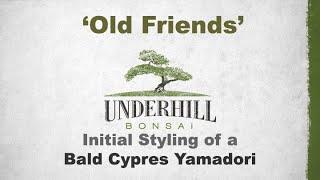 Old Friends - Initial Styling on a Bald Cypress Yamadori