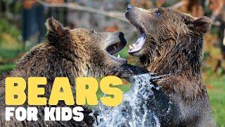 Bears for Kids | Learn all about these honey-loving mammals!