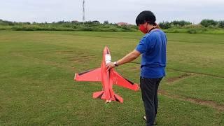 Handmade RC Jet Bandit x Stinger 700mm With T-Motor F60 Brushless