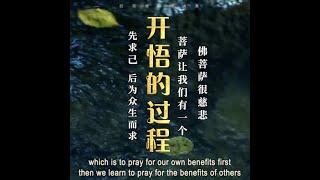 菩萨让我们有一个“开悟”的过程，先求己，后为众生而求【中英】白话佛法 · 节选