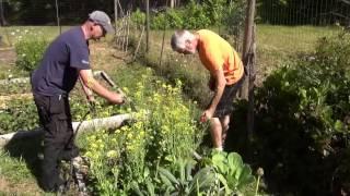 Water vegetables, plants, shrubs, and trees. Water-it-all with the WiserWand!