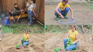 grow vegetables and welcome Korean guests to visit