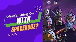 What's Going on With Spacebudz?