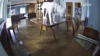 Glass table shattered under dog while home alone | Furbo Dog Camera