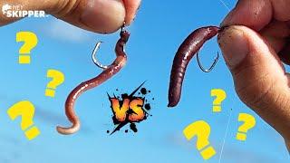 FAKE Worm vs REAL Worm for BAIT! Can Fish Tell the Difference?