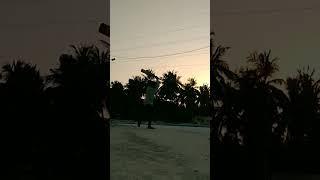 cricket love's #cricket #youtube #youtube shorts#the Hiren yt #2