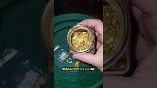 Золото повсюду! #добычазолота #золото #золотоискатель
