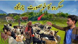 The beautiful pasture of Skardu  || Beautiful place in Skardu || Gilgit Baltistan