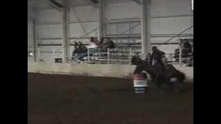 Captains Prospector 14.3 at the Walla Walla indoor arena