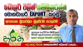 අපනයන ක්‍රියාවලිය මුලසිටම සරලවම - හරිත පියස