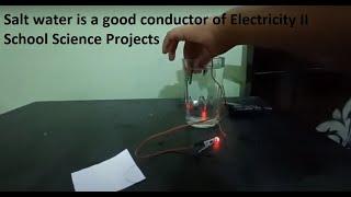 Salt water is a good conductor of Electricity II School Science Projects II