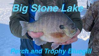 Big Stone Lake Seasonal Ice Fishing Patterns (Perch and Big Bluegill)