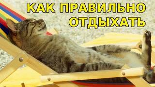 ТЕБЕ НУЖНО НАУЧИТЬСЯ ... ОТДЫХАТЬ
