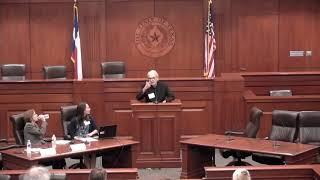 Welcome Remarks: The Michael Tigar Papers