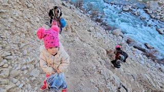 Documentary about the harsh life of nomads: "Khosro and Niloufar return home to the river"