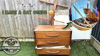 I quit the Ultimate CAT PENTHOUSE from an old dresser.