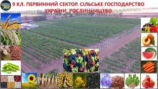 Географія. 9 кл. Урок 10. Первинний сектор. Сільське господарство України. Рослинництво України