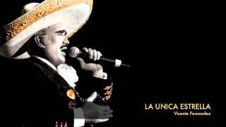 Vicente Fernandez - La Unica Estrella