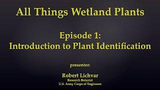 Introduction to Plant Identification