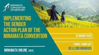Minamata Online 5: Implementing the Gender Action Plan of the Minamata Convention