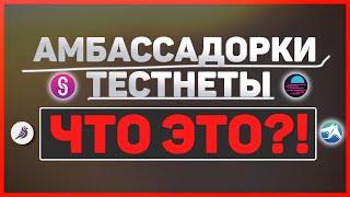 Амбассадорская программа - что это такое? Тестнеты, амбассадорки. Заработок на криптовалюте 2022