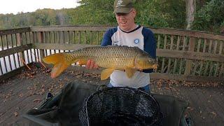 Fall Carp Fishing Family Picnic - Carp & Catfishing Tips for bank fishing