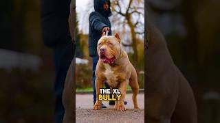 The Shocking Truth About These 3 Dog Breeds