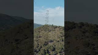 Vertical video. Nicolosi, Sicily, Italy. Volcanic craters overgrown with forest on the slopes of ...