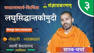 लघुसिद्धान्तकौमुदी | laghu siddhanta kaumudi | BY Swami Keshavananda | ep- 3