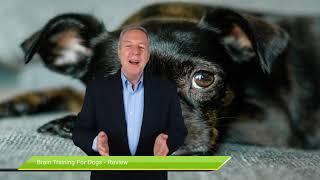 brain Training For Dogs Review Brain Training 4 Dogs Video - Rating 