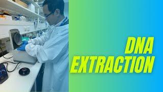 DNA EXTRACTION PROCESS