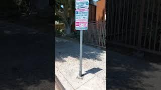 This is one of the most infamous series of parking restrictions in LA.