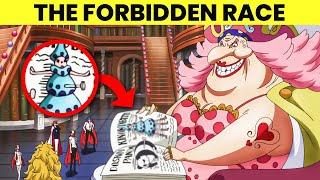 All 27 Known Races in One Piece Explained!