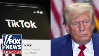 We need to give Trump time to deal with TikTok: Silicon Valley pioneer