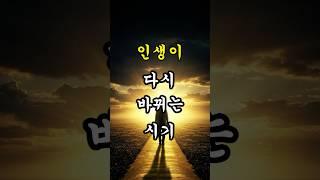 50대 이후, 인생이 다시 바뀌는 시기 – 대운은 지금부터입니다 #운명서재#대운 #말년운 #사주운세 #운명서재 #50대운세 #60대운세 #70대운세 #시니어운세 #인생반전