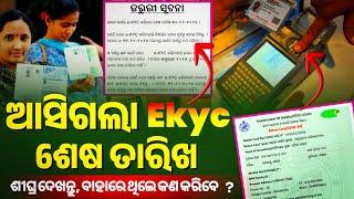  ବଡ ଖବର - Ration Card Ekyc Last Date | Odisha Ration Card Ekyc Last Date | Ration Card Ekyc Online