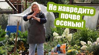 Почва осенью: 5 страшных ошибок! Подготовка грядок осенью