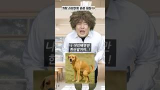 개랑 사람이랑 바뀐 세상에서 살아버리기!!