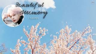 [Hangul | Vietsub] | 지나가기에 더 아름다운 - Beautiful Memory | 일상다반사 | Hyungwon's recommend song