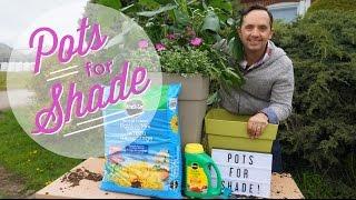 Pots for Shade