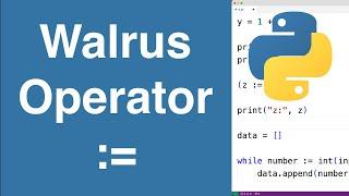 Walrus Operator | Python Tutorial