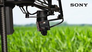 Sony's Smart Agriculture Solution