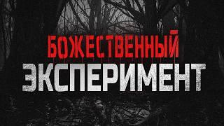 БОЖЕСТВЕННЫЙ ЭКСПЕРИМЕНТ. Жуткая история про группу людей. Триллер. Мистика