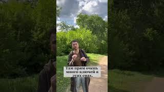 Снились ли Вам когда-нибудь вещие сны? Владимир Брилёв
