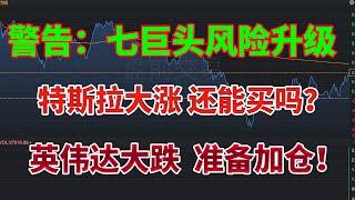 特斯拉大涨！还能买吗？英伟达大跌，准备加仓！华尔街警告：七巨头风险升级，特朗普交易要小心！MSTR看好BTC前景！#nvda #特斯拉 #zim