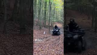 Cf moto gladiator  X450 ️ #cfmoto #forest #foryou #outdoors #autumn #offroad #quads #youtubeshorts