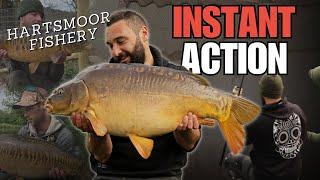 Instant CARP Action | Hartsmoor Fishery | Day Ticket Carp Fishing in Devon | GoCatch