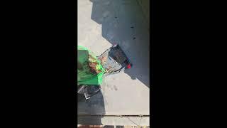 Gosvor pool vacuum