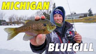 How To Ice Fish For BlueGill: Oakland County Ice Fishing 2025