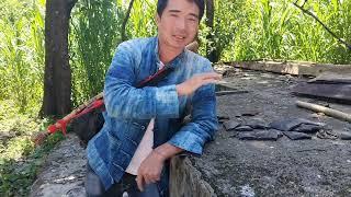 A PÁO SANG THĂM NGÔI NHÀ CỔ A LÝ